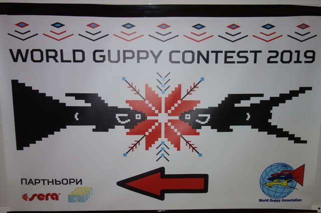 World Guppy Contest – WGC 2019